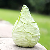 krummegurken